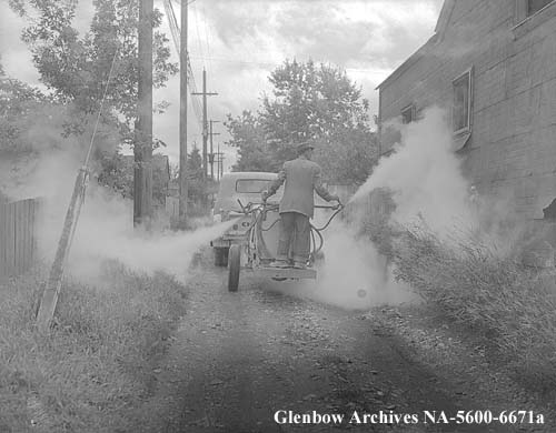 Spraying alleys, Calgary, Alberta. August 1954.  Spraying against spread of polio!