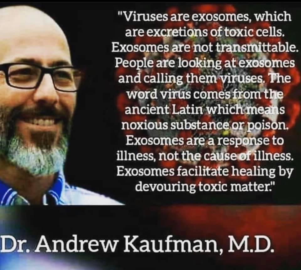 Why Chiropractic Improves One's Immune System Function | The Wellness Path