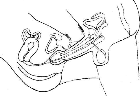 only about one inch or more of your penis remains inside the vagina only about one inch or more of your penis remains inside the vagina