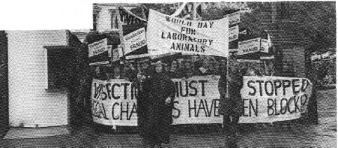 March at Gates of Parliament (40k)