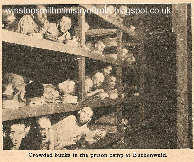 The Holocaust/Holohoax Crowded-at-buchenwald