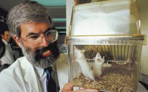 White examines detested specimens in his Oxford lab.