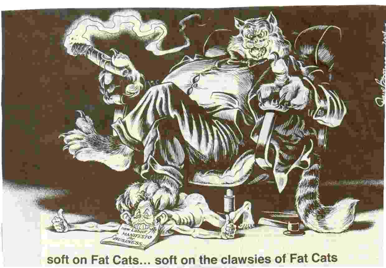fatcats1.jpg (34937 bytes)