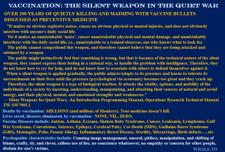 silent weapons for quiet wars