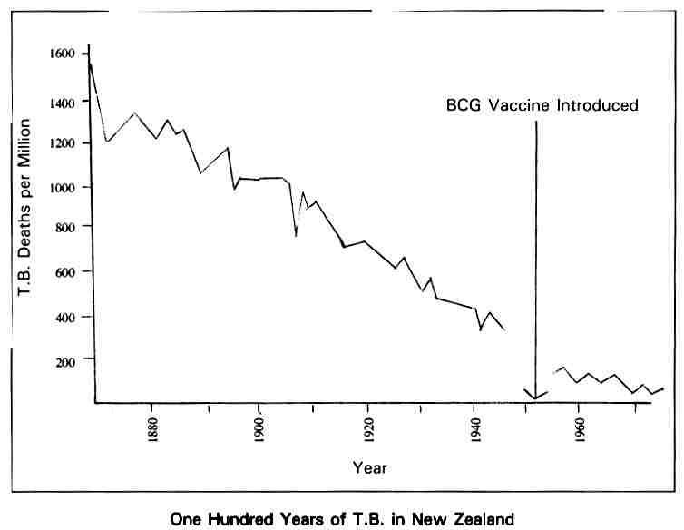 bcg nz comp.jpg (15399 bytes)