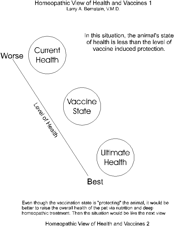 Graphic of Interrelationship